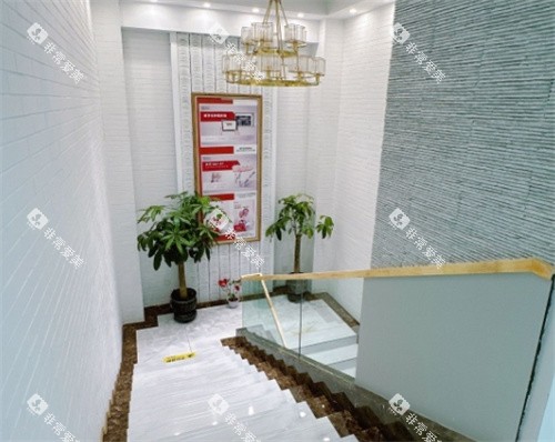 长春诺贝尔口腔(经开店)楼梯间 长春诺贝尔口腔(经开店)楼梯间