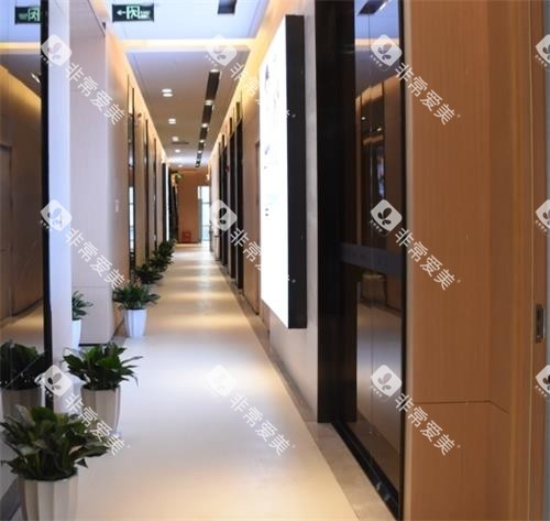 深圳正夫口腔过道区 深圳正夫口腔过道区