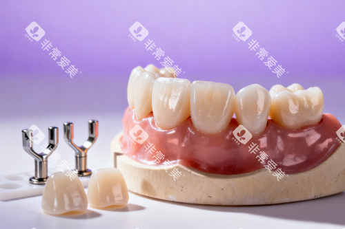 牙齿模型图片展示一览