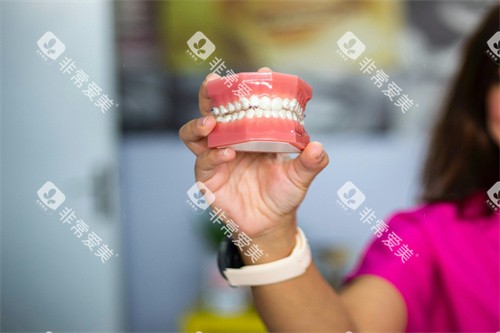 做好的牙齿模型图片