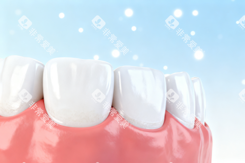 牙齿模型图展示