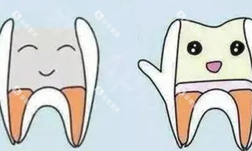 根管治疗前后对比