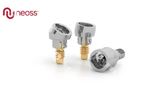 瑞典尼奥斯基台展示图