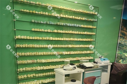上海鑫齿口腔牙套展示柜