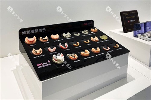 郑州白皮书口腔医院修复模型展示