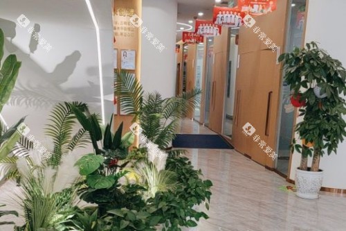 成都牙米口腔内部环境图