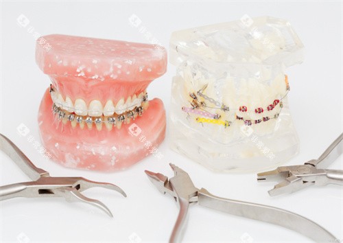 牙齿模型图片展示图