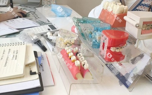 常州美奥口腔医院牙齿模型