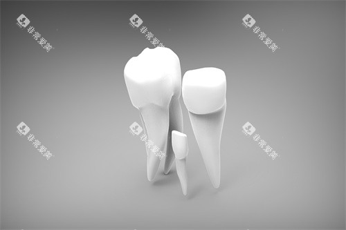 牙齿操作示意图 牙齿操作示意图