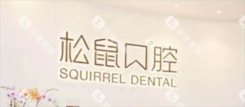 昆明松鼠口腔前台背景