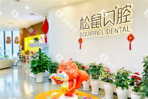 昆明松鼠口腔环境图示