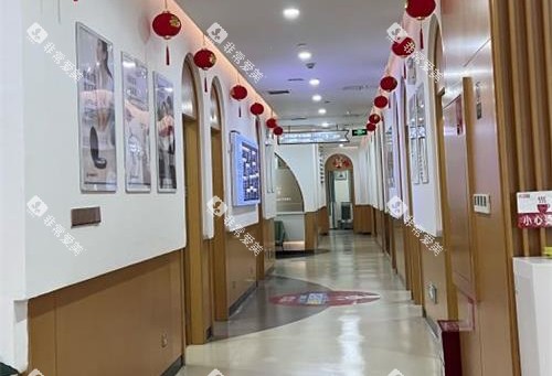 昆明松鼠口腔走廊环境