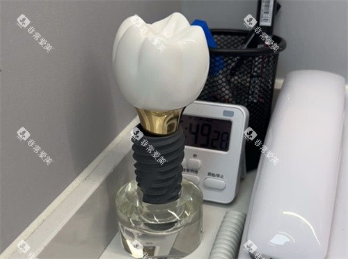 种植牙单颗模型