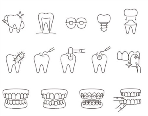 牙齿类型卡通图