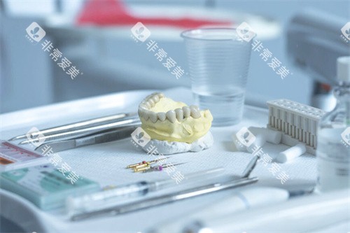 牙齿模型环境图