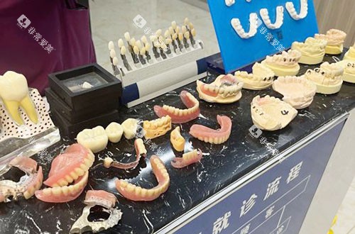 嘉兴唯美口腔牙齿模型展示