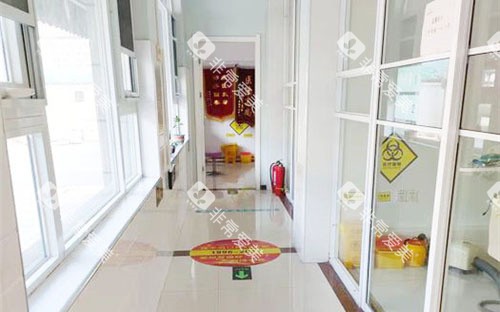 漯河啄木鸟口腔内部环境