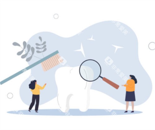 牙齿清洁示意图