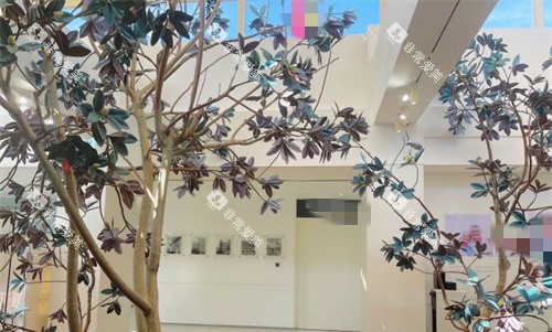 天津海德堡口腔环境