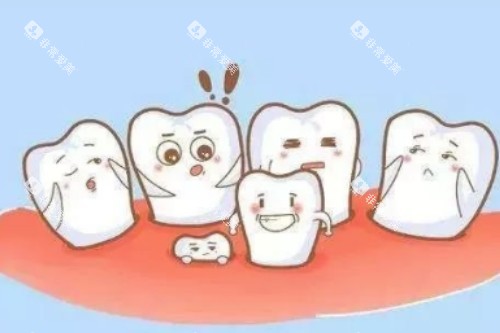 乳牙问题卡通图