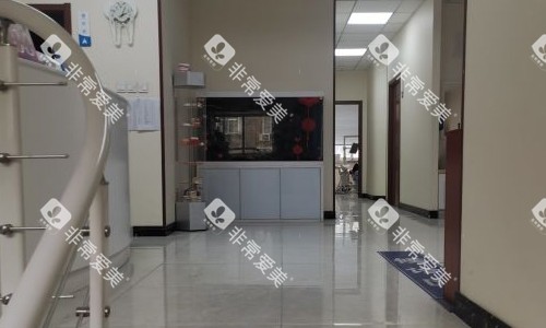 保定一加一口腔走廊