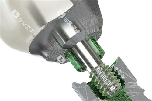 美国百好瑞种植牙植体连接处放大