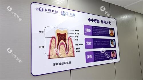 昆明长鹏口腔(兴苑店)牙齿解剖示意图 昆明长鹏口腔(兴苑店)牙齿解剖示意图
