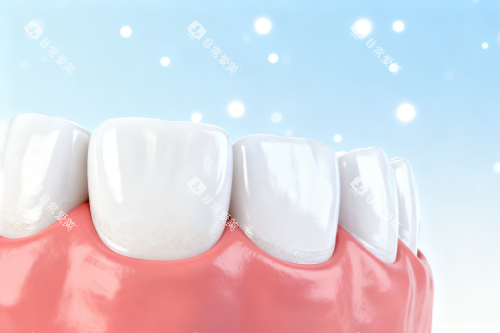 牙齿模型图展示