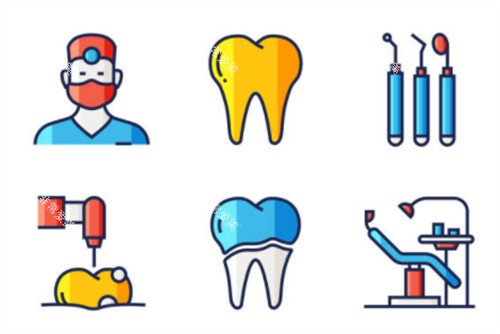 牙齿各个项目图