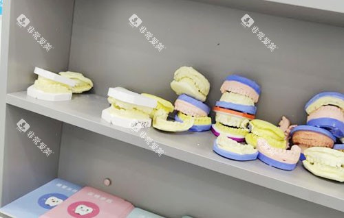 海口牙医森口腔牙齿模型实拍