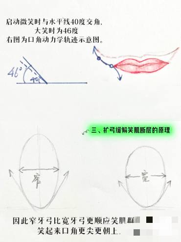 扩弓器矫正牙齿原理图