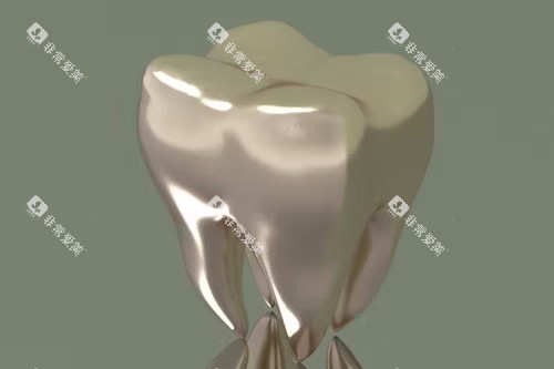 假牙制作展示图