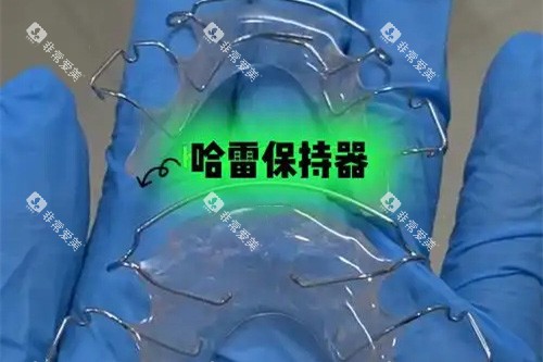 哈雷保持器