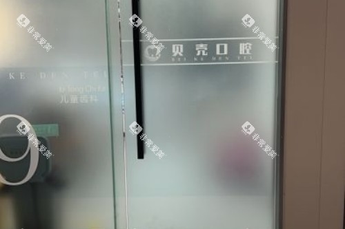 常德贝壳口腔环境