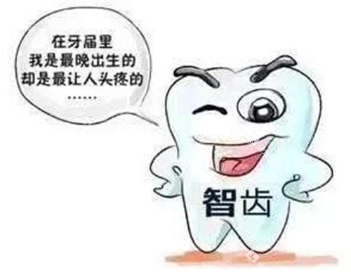 智齿动画示意图