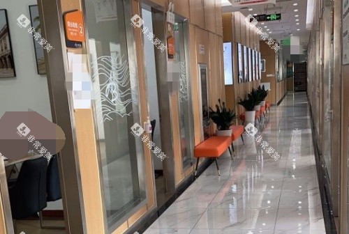 盐城艾博口腔走廊环境示意图