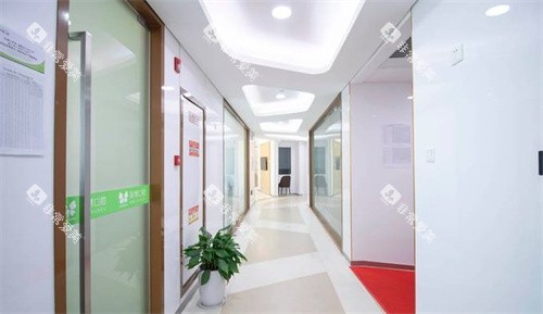 苏州英博口腔走廊环境