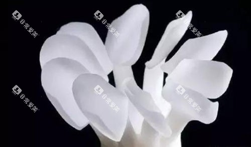 牙齿树脂贴面示意图