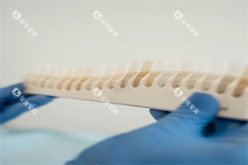 牙齿色号展示