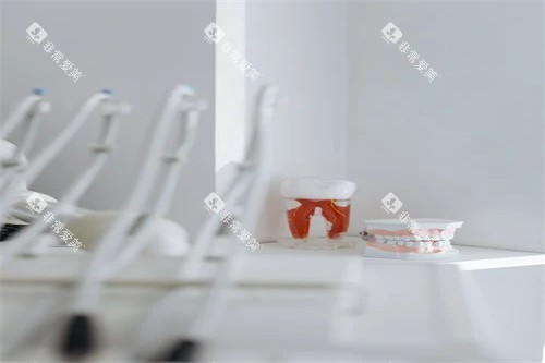 牙齿模型设备展示