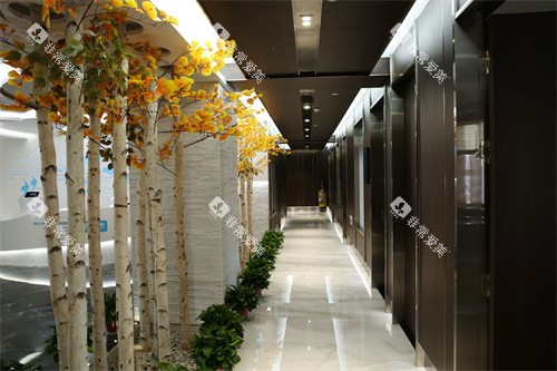 兰州康美齿科(酒泉路院)内部走廊环境