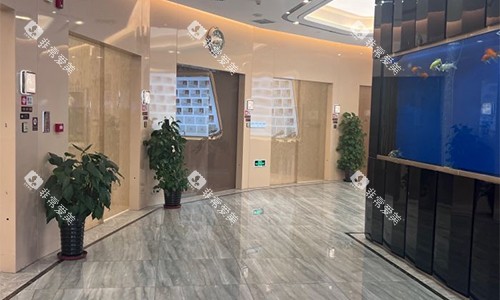 北京劲松口腔(望京院)走廊环境 北京劲松口腔(望京院)走廊环境