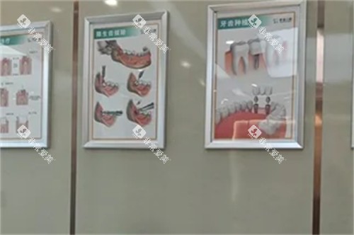 三亚舒诺口腔展示墙