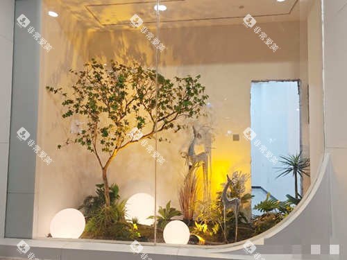 亳州小天使口腔(建安店)环境 亳州小天使口腔(建安店)环境