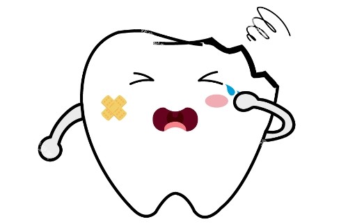 牙齿损害动画图