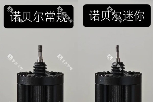 诺贝尔常规款和迷你款对比