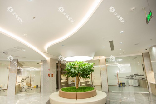 汕头奥诗卡口腔大厅图