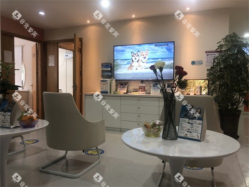 乌鲁木齐兔博士口腔水磨沟区南湖路门诊部候诊区