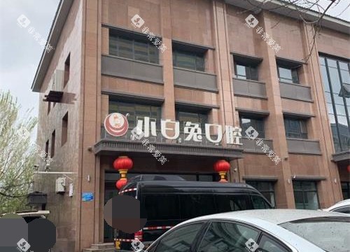 新疆乌鲁木齐兔博士口腔外观