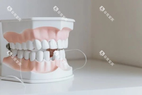 残缺的牙齿展示